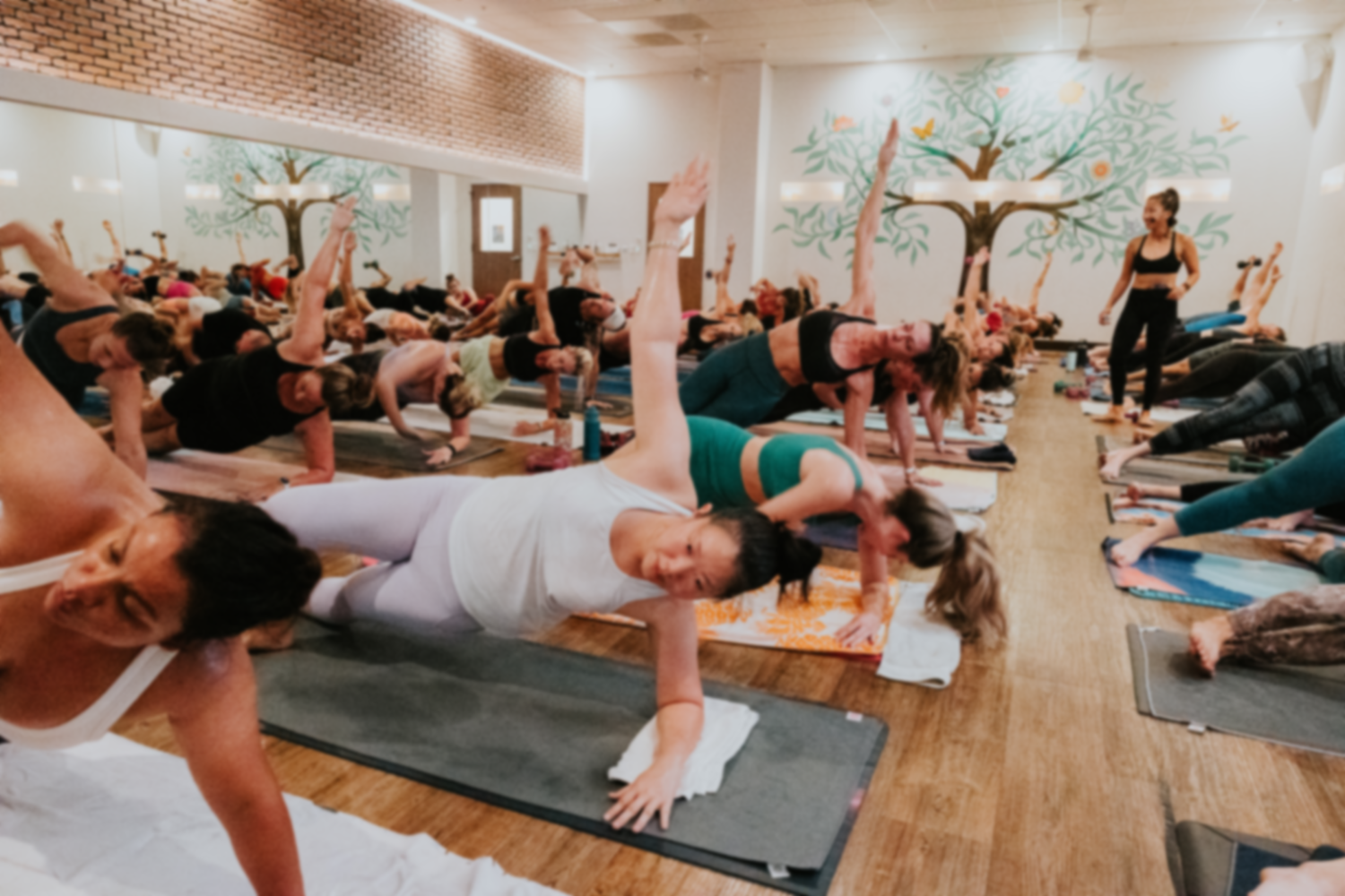 a full classroom posing with their left arms balancing them sideways while their right arms are pointed to the ceiling. The instructor seems pleased.