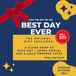 Best Day Ever Holiday Gift Bundle Promotion